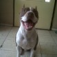 ROCKY AL AÑO